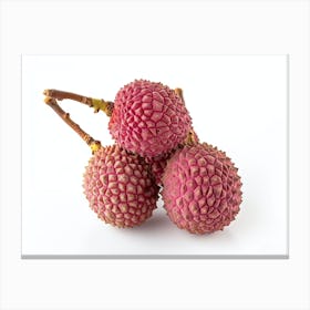 Lychee Fruit 14 Canvas Print