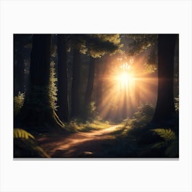 Rays Of Light Through The Trees Canvas Print