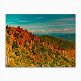 Mountain View in Autumn Canvas Print