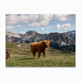 Highland Cow In The Mountains Canvas Print