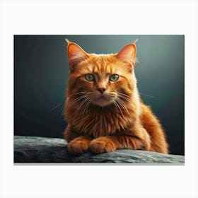 Portrait Of A Red Cat Canvas Print