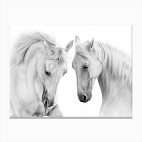 White Horses Canvas Print