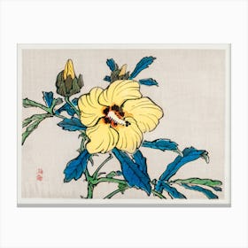 Hibiscus, Kōno Bairei Canvas Print