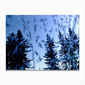 Trees Reflected On A Frosted Window Shield In Anchorage Canvas Print