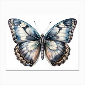 Watercolor Painting Of A Butterfly Canvas Print