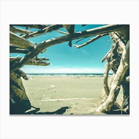 Driftwood Beach - Wanderlust Sea Landscape Canvas Print