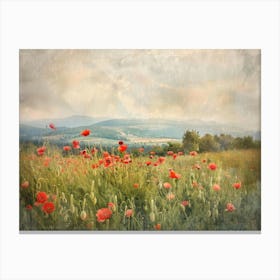 Poppies In The Meadow 19 Canvas Print