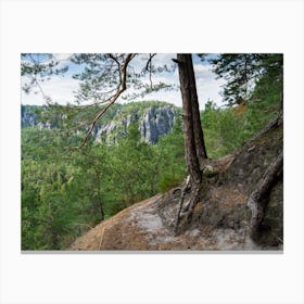 Pine trees, green forest and rocks in the Elbe Sandstone Mountains Canvas Print