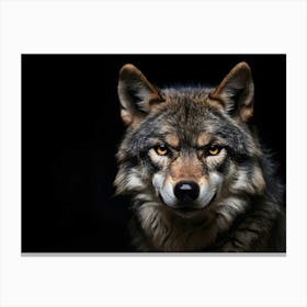 Wolf Portrait 2 Canvas Print