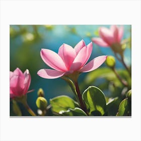 Lotus Flower Canvas Print