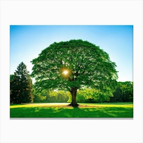 A Radiant Tree Standing Tall In A Vibrant Park Holding A Secure Place Amongst A Lush Spring Foliage (6) Canvas Print