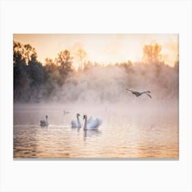 Majestic Swan Gliding Over Mystical Lake Reflection Below Ethereal Fog Swirling Early Morning Lig Canvas Print