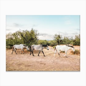 Ariozna Wild Horses Canvas Print