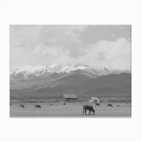 Pasture And Snow Covered Uinta Mountains In The Spring, Heber, Utah By Russell Lee Canvas Print