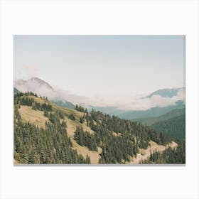 Mountain Forest View Canvas Print