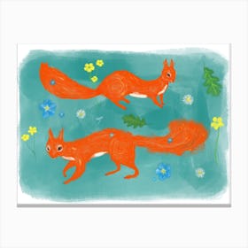 Red Squirrels And Wildflower Canvas Print
