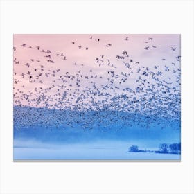 Flying In The Fogging Morning Canvas Print
