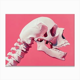 Skeleton 6 Canvas Print