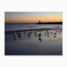 Birds On The Beach At Sunset Canvas Print