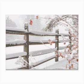 Snow Covered Fence Canvas Print