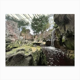 Waterfall In The Zoo Canvas Print