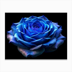 Single Blue Rose With Delicate Petals Against Black Background Canvas Print