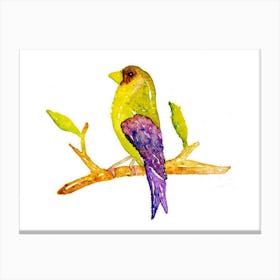 Bird On A Branch Canvas Print