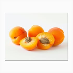 Apricots 4 Canvas Print