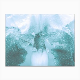 A Delicate Wet Cyan Flower Canvas Print