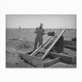 Untitled Photo, Possibly Related To Mr, Browning And His Team, He Is A Fsa (Farm Security Administration) Canvas Print