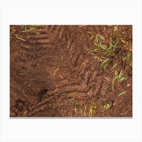 Texture Of Brown Mud With Tractor Tyre Tracks Canvas Print