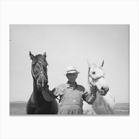 Untitled Photo, Possibly Related To Mr,Browning And His Team, He Is A Fsa (Farm Security Administration) Canvas Print