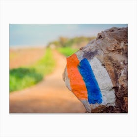 Hiking Trail Marker (Israel Trail) Painted On A Stone In Countryside Area Canvas Print