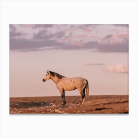 Wild Horse Sunset View Canvas Print