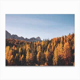 Autumn Forest Mountains Canvas Print