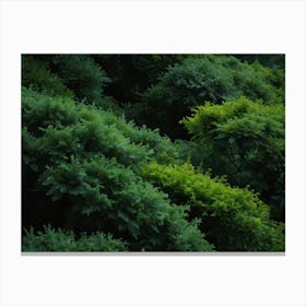 green nature 5 Canvas Print