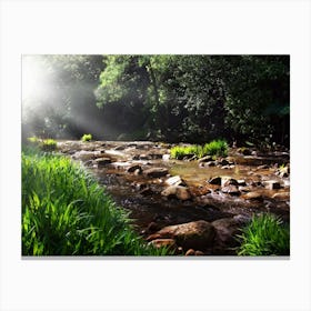 Stream In The Forest Canvas Print