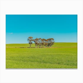 Green Field With Trees Canvas Print