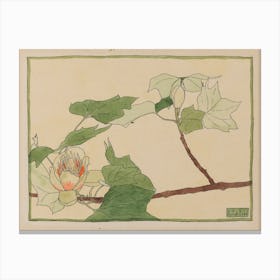 Tulip Tree, Hannah Borger Overbeck Canvas Print