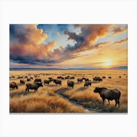 Shadows and Sunlight on the Plains Herd Of Bison At Sunset Canvas Print