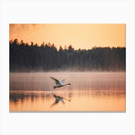 Swan Soaring With Wings Fully Extended Over A Serene Blue Lake Foreground Placed In Sharp Focus De Canvas Print