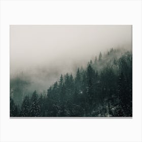 Misty Forest Views Canvas Print