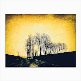 Winter Sunrise Canvas Print