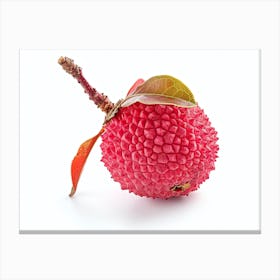 Lychee Fruit Isolated On White Background Canvas Print