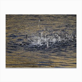 Splash it Canvas Print