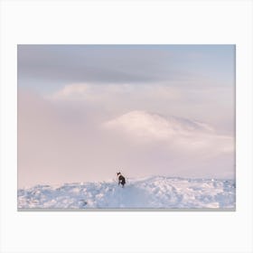 Person On Snow Canvas Print