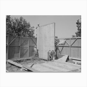 Barn Erection, Raising Interior Panels Into Place On Top Of Girder, Southeast Missouri Farms Project By Russell Lee Canvas Print