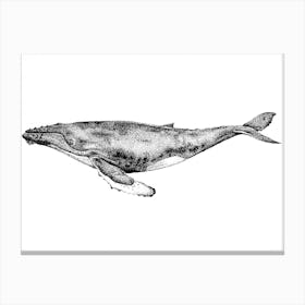 Dotwork Blue Whale Illustration Canvas Print