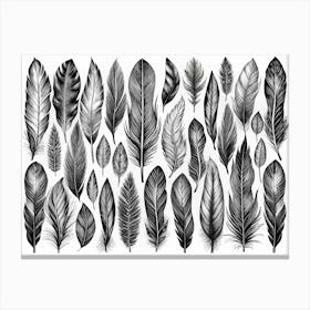 Black And White Feather Illustration Collection Canvas Print