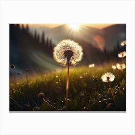 Dandelion sitting on a field, morning or dusk 5 Canvas Print